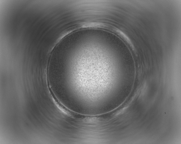 X0000068721041200605051428