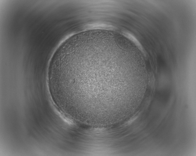 X0000068721043200605051428