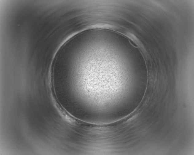 X0000068721044200605051428