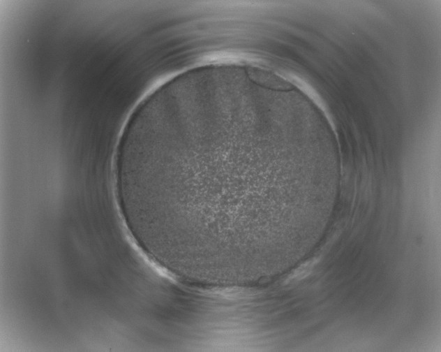 X0000068721045200605051428