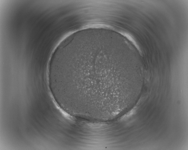 X0000068721046200605051428