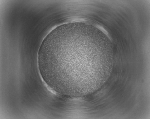 X0000068721047200605051428