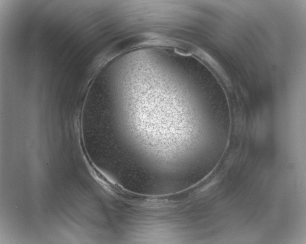 X0000068721049200605051428