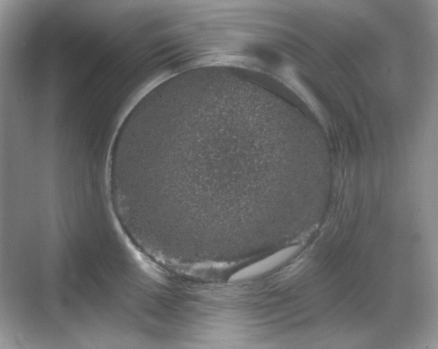 X0000068721050200605051428