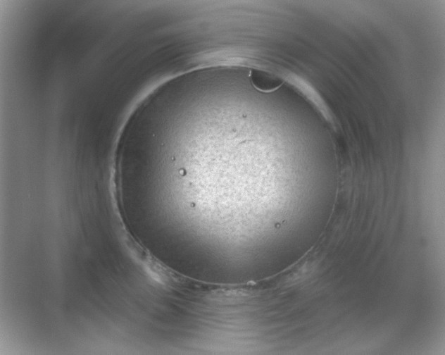 X0000068721051200605051428