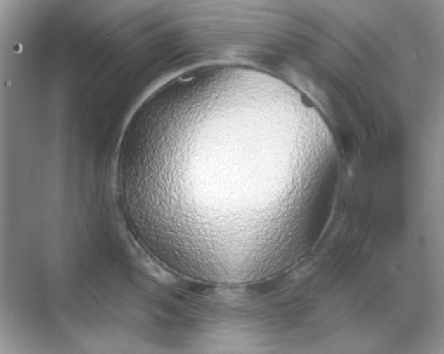 X0000068721052200605051428