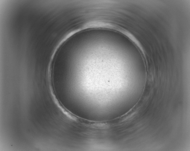 X0000068721053200605051428