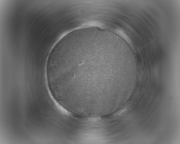 X0000068721055200605051428