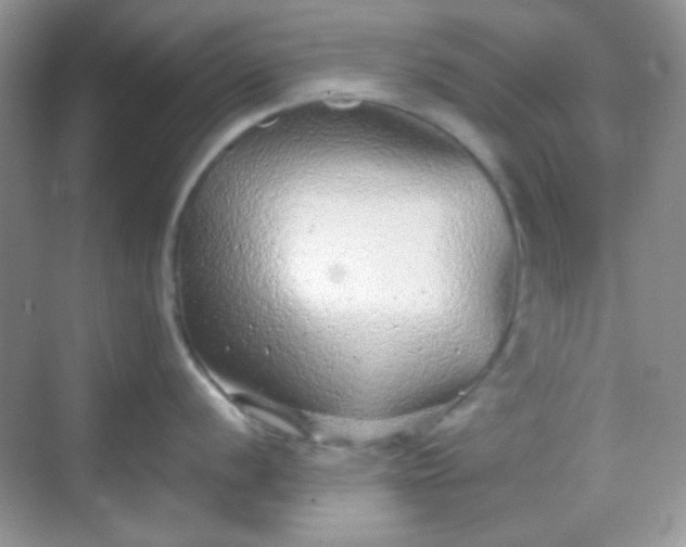 X0000068721056200605051428