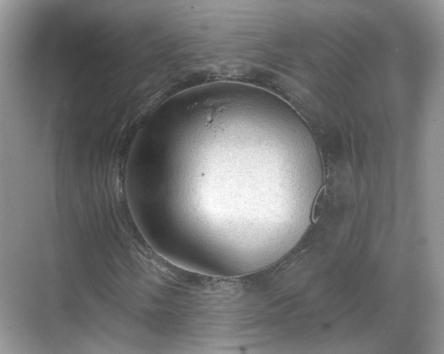 X0000068721058200605051427