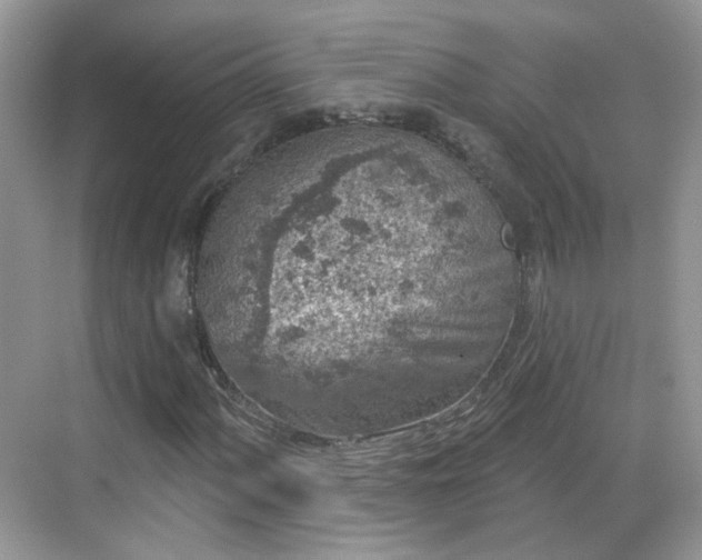 X0000068721060200605051427