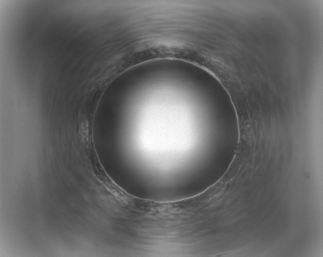 X0000068721061200605051427