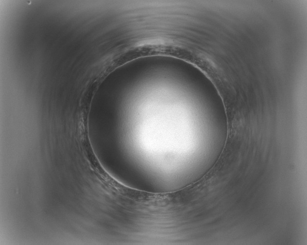 X0000068721062200605051427