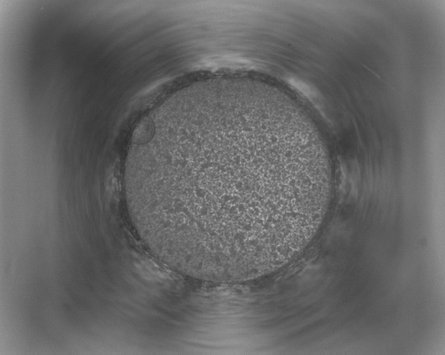 X0000068721063200605051427