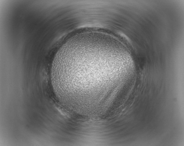 X0000068721064200605051427