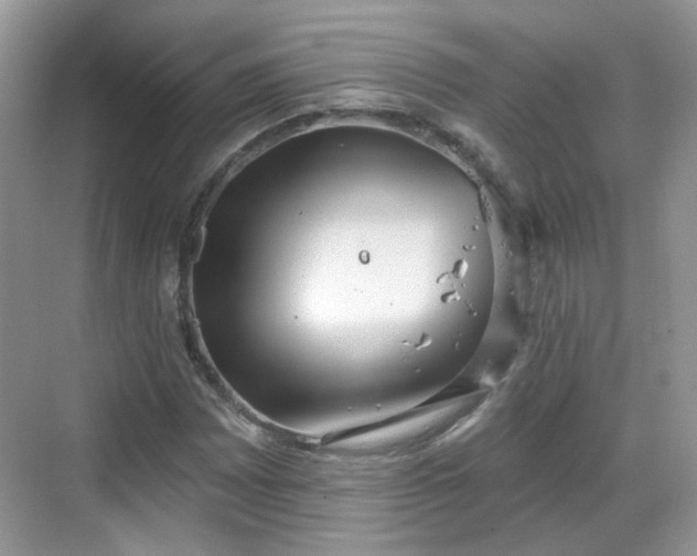 X0000068721065200605051427