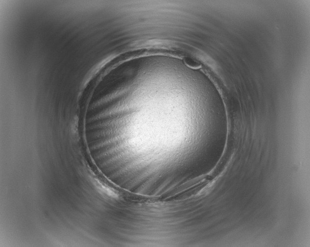 X0000068721066200605051427