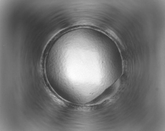 X0000068721068200605051427