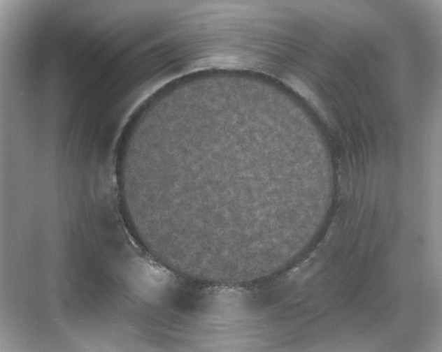 X0000068721070200605051427