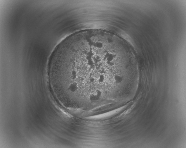 X0000068721071200605051427