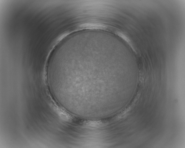 X0000068721074200605051427