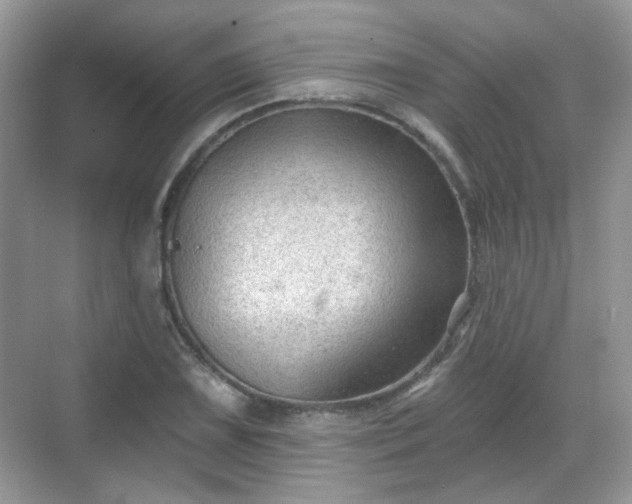 X0000068721075200605051427