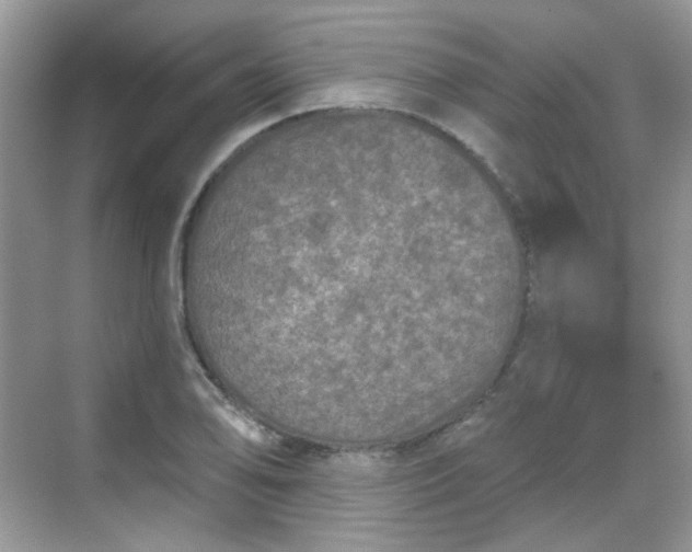 X0000068721078200605051427