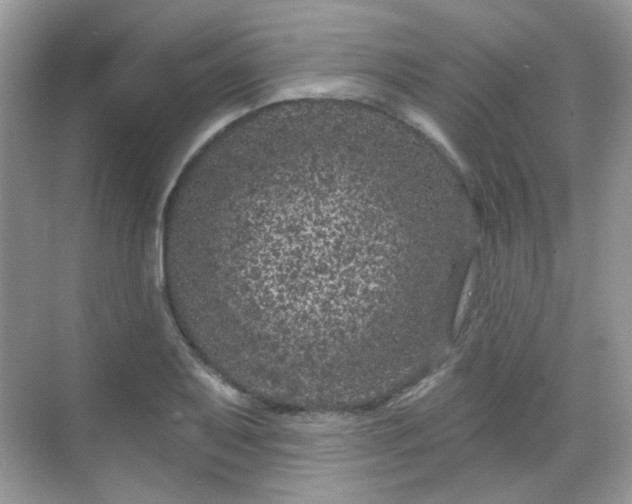 X0000068721079200605051427