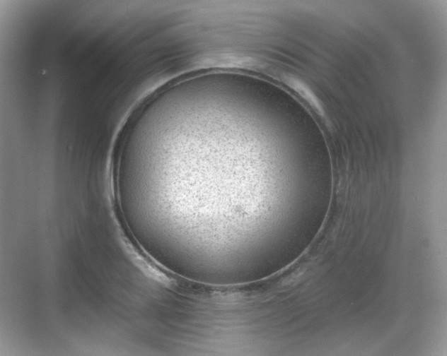 X0000068721080200605051427