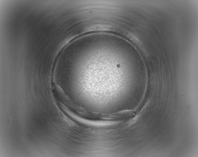 X0000068721081200605051427