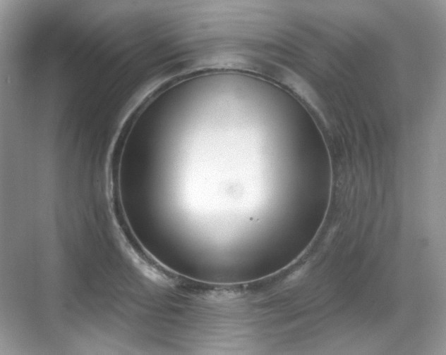 X0000068721082200605051427