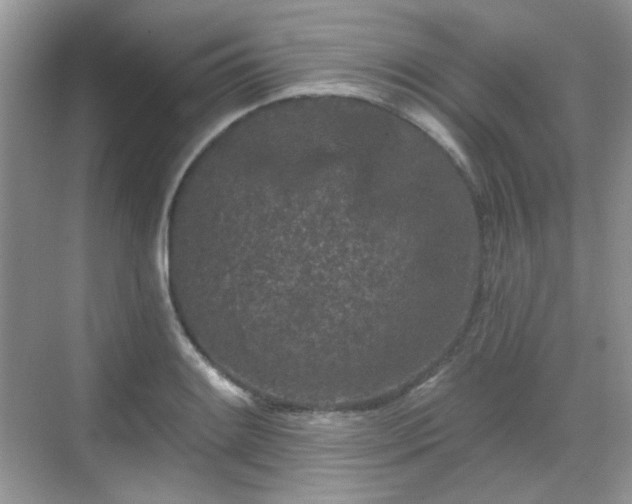 X0000068721084200605051427