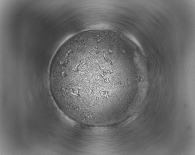 X0000068721087200605051427