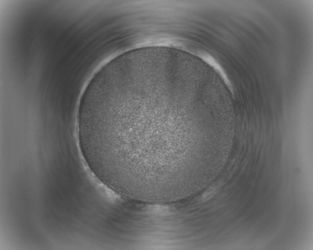 X0000068721088200605051427