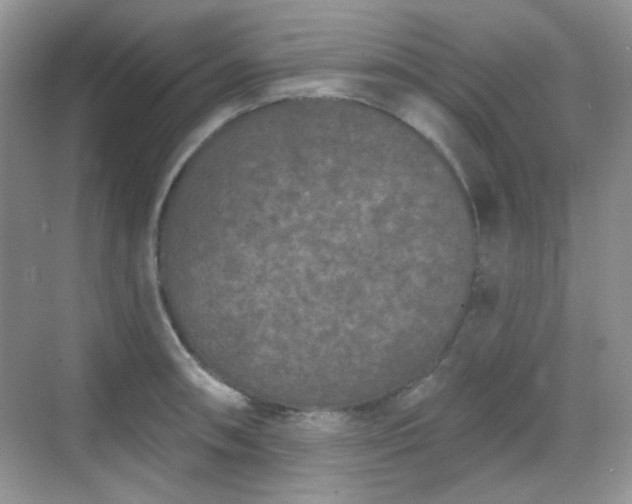 X0000068721090200605051427