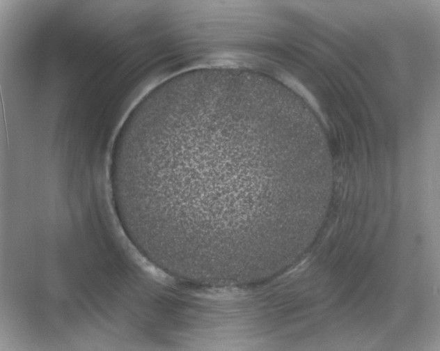 X0000068721091200605051427