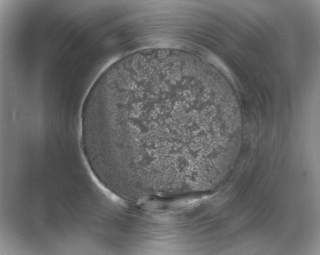 X0000068721095200605051427