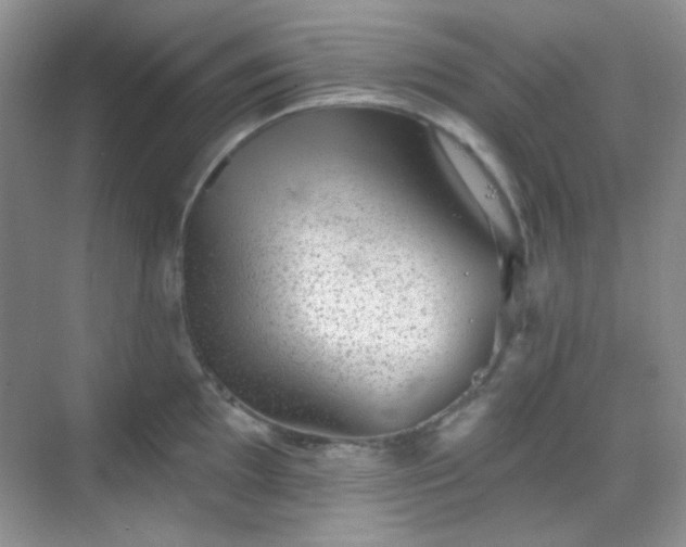 X0000068721097200605051427