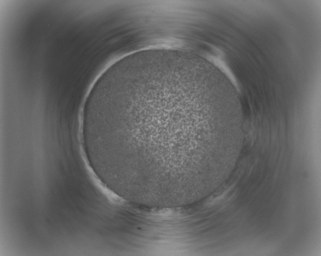 X0000068721099200605051426