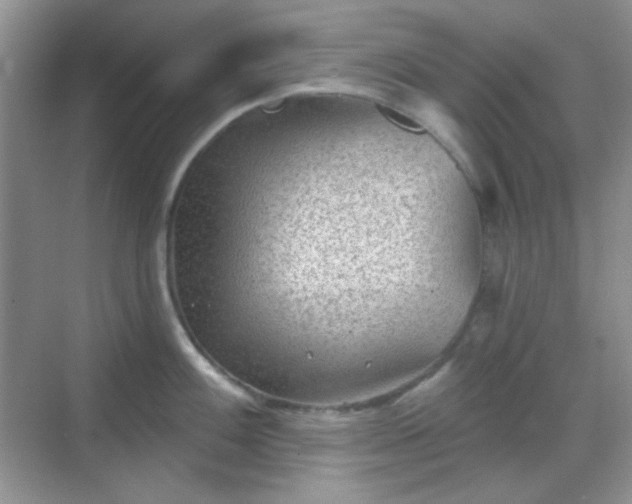 X0000068721100200605051426