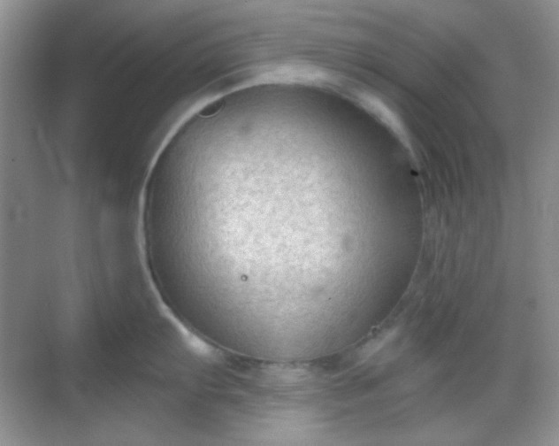 X0000068721103200605051426