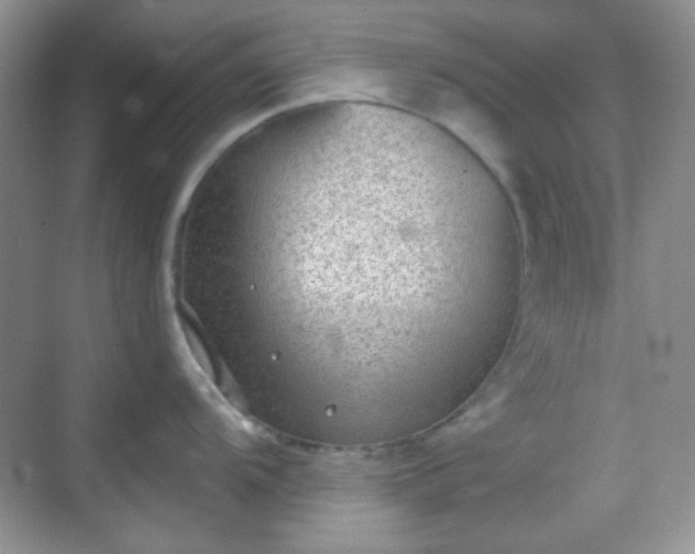 X0000068721104200605051426