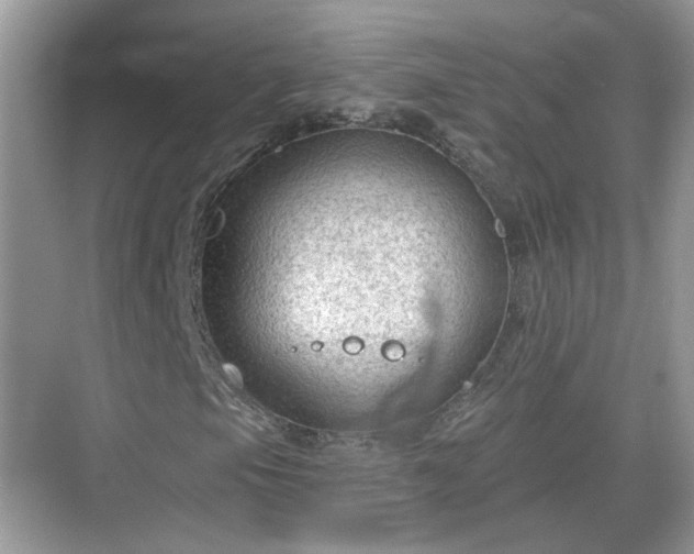 X0000068721105200605051426