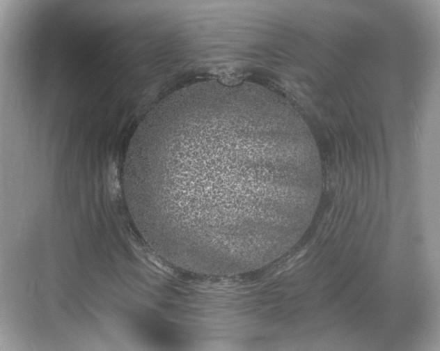 X0000068721106200605051426