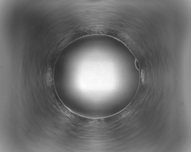 X0000068721107200605051426