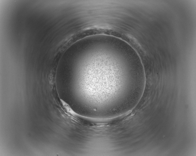 X0000068721110200605051426