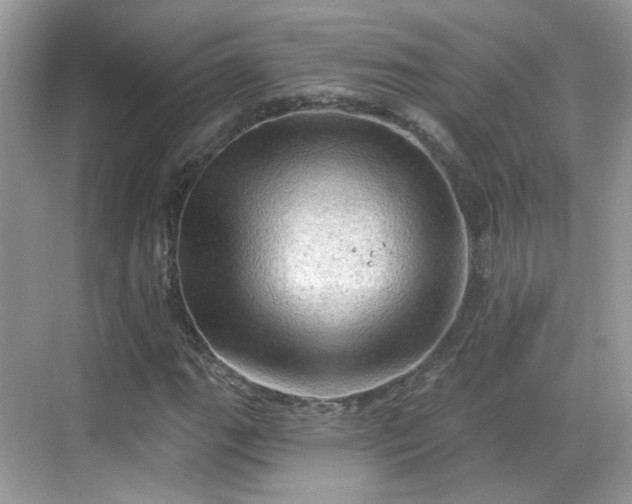 X0000068721111200605051426