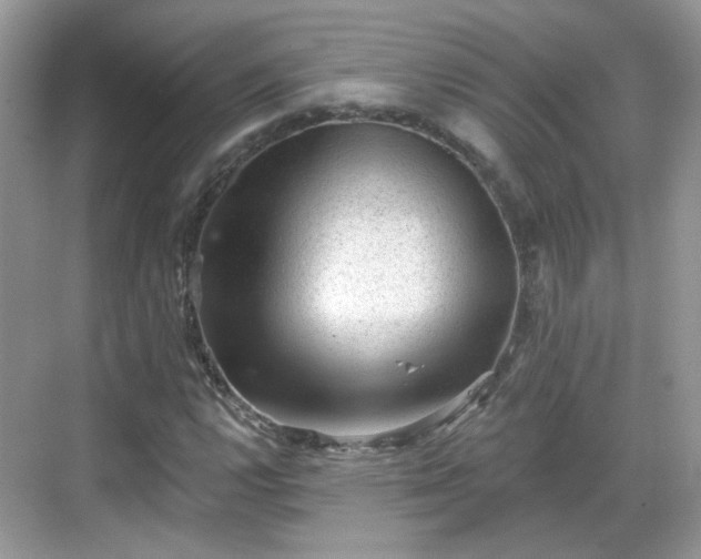 X0000068721112200605051426