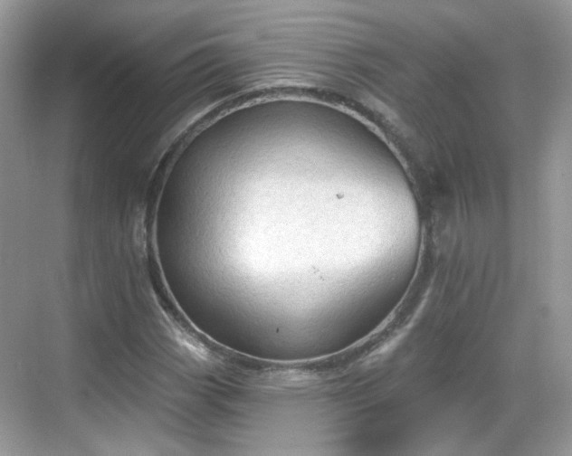 X0000068721113200605051426