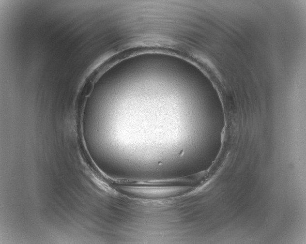 X0000068721114200605051426